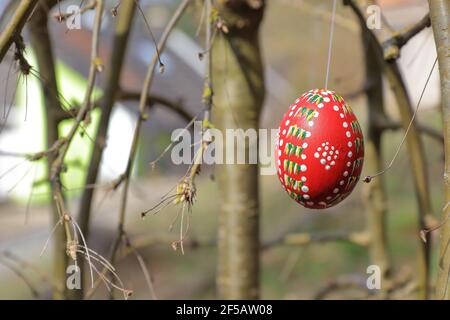red painted and colored easter egg hanging on a twig Stock Photo