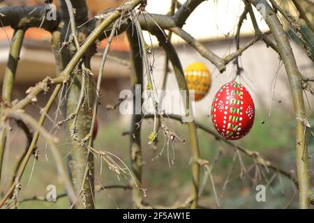 painted and colored easter eggs hanging on twigs Stock Photo