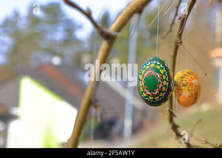painted and colored easter eggs hanging on twigs Stock Photo
