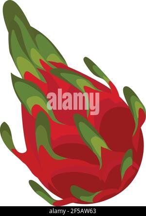 Dragon fruit logo icon vector isolated on white background Stock Vector