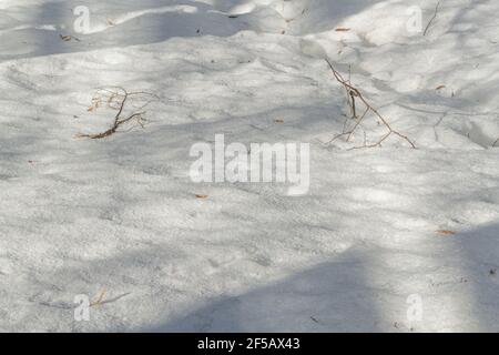 White snow texture. Snowy background for a winter scene. Stock Photo
