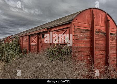 an old abandoned railway carriage in a thicket, Copenhagen, Mars 20, 2021 Stock Photo