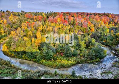 Aerial view of the autumn forest and blue river. Colourful aerial landscape. Stock Photo