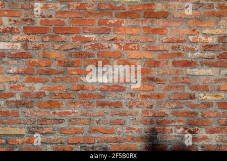 Old vintage brick wall background texture Stock Photo