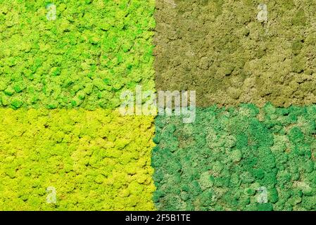 A bright live panel made of scandinavian stabilized moss of various green shades, wall decoration with eco-friendly greenery. Stock Photo