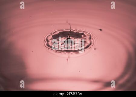 View macro of drops making circles on blue water surface isolated on red background. Stock Photo