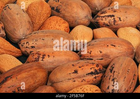 Mixed whole pecan nuts and almonds closeup detail Stock Photo