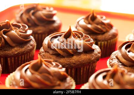 Homemade chocolate cupcakes Stock Photo