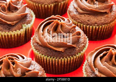 Homemade chocolate cupcakes Stock Photo