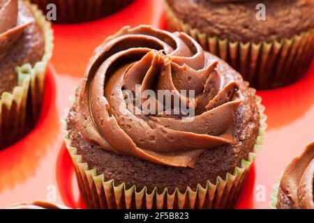 Homemade chocolate cupcakes Stock Photo