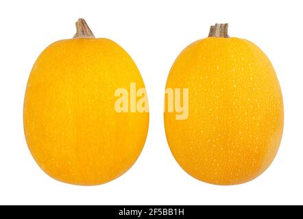 spaghetti squash path isolated on white Stock Photo