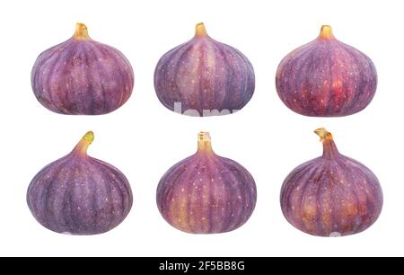 figs path isolated on white Stock Photo