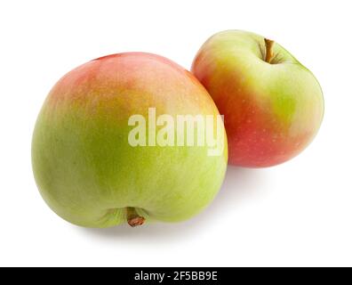 red green apple path isolated on white Stock Photo