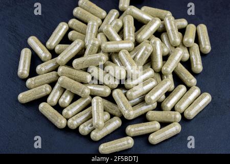 Vegan capsules dietary supplement on a black background top view.  Kelp brown algae, vegetable capsules. Biologically active additives. Stock Photo