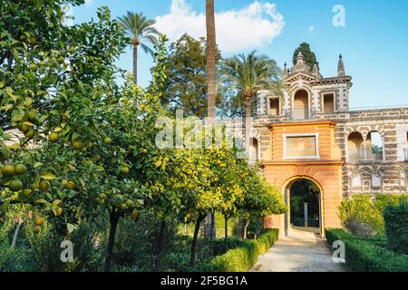 Royal Alcazar Gardens in Seville, Jardines Real Alcazar en Sevilla Stock Photo