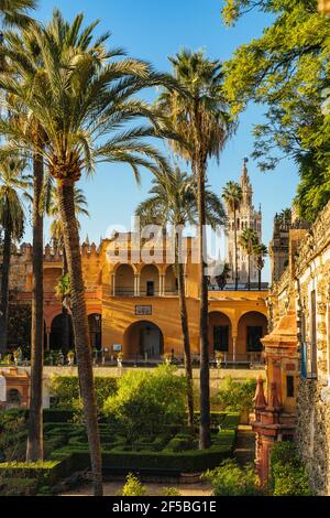 Royal Alcazar Gardens in Seville, Jardines Real Alcazar en Sevilla with the Giralda Stock Photo