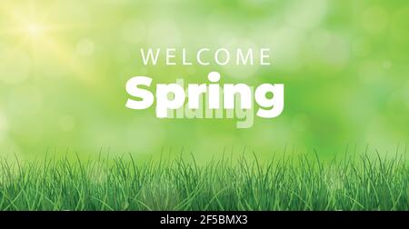 Welcome spring bright sunny background poster - Vector illustration Stock Vector