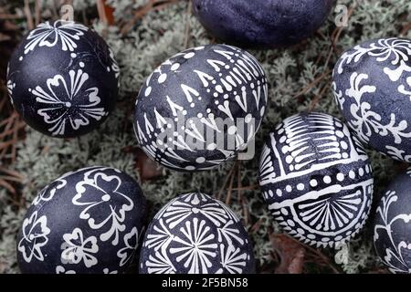 Traditional Easter eggs, painted with wax in black paint, called marguciai in Lithuania, on a background of gray lichens. The concept rebirth Stock Photo