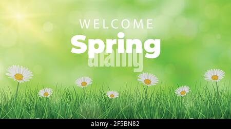 Welcome spring bright sunny background poster - Vector illustration Stock Vector