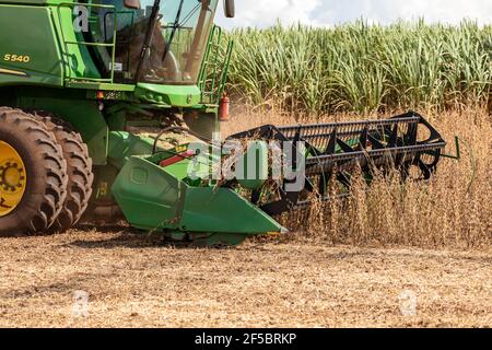 Agricultural tractor harvesting soybeans in the field - Pederneiras-Sao Paulo-Brasil - 03-20-2021. Stock Photo