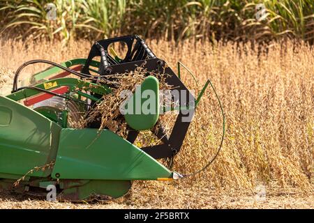 Agricultural tractor harvesting soybeans in the field - Pederneiras-Sao Paulo-Brasil - 03-20-2021. Stock Photo