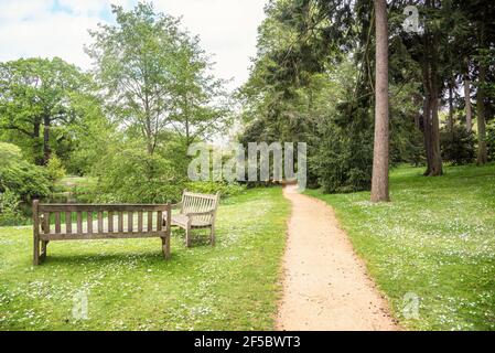 Deserted gravel path running  through flowery meadows and woods in park in spring. Two empty weathered wooden benches facing a pond are in foreground. Stock Photo
