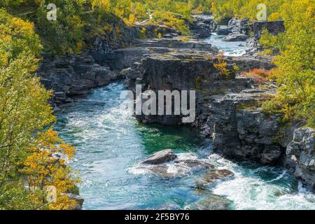 Wild Abisko river flows swiftly through rocky gorge in Abisko National Park deep in the Swedish Arctic. Autumn colors in remote Swedish Lapland Stock Photo