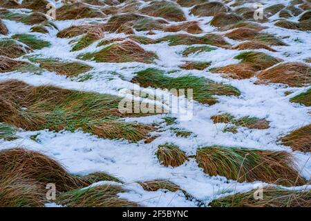 Deep snow on grass at the remains of Ricklow Quarry at the head of Lathkill Dale in Derbyshire. Stock Photo