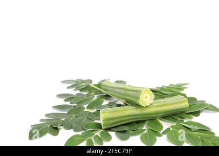Moringa oleifera isolated on white background Stock Photo