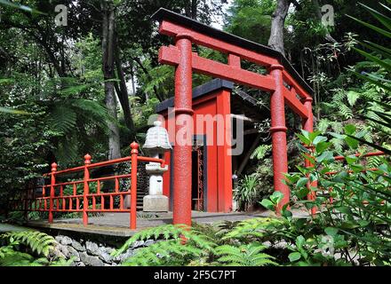 Oriental Gardens in the Monte Palace Tropical Garden, Monte, Funchal, Madeira, Portugal Stock Photo