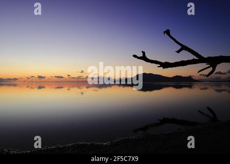 Sunset in Vanuatu with Nguna Island and a branch silhouetted against the sky Stock Photo