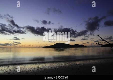 Sunset in Vanuatu with Nguna Island and a branch silhouetted against the sky Stock Photo