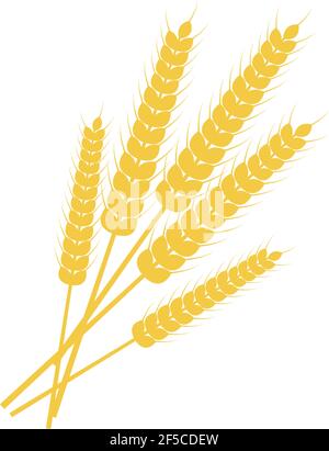 Bunch of Wheat. Vaisakhi Baisakhi design elements. New Year of the Sikhs. Stock Vector