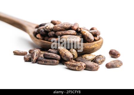 Roasted cocoa beans in wooden spoon isolated on white background. Stock Photo