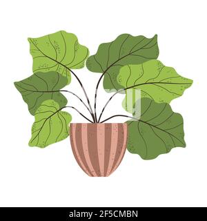 Colorful single houseplants in pot. Vector illustrations of Indoor plant in flowerpot. Flowers in pot in flat cartoon style. Isolated on white. Stock Vector