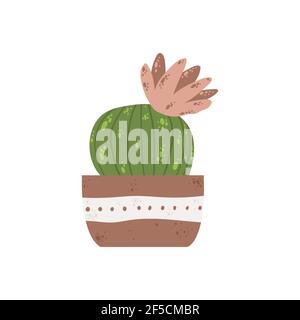 Colorful single houseplants in pot. Vector illustrations of Indoor cactus in flowerpot. Indoor plant in pot in flat cartoon style. Isolated on white b Stock Vector