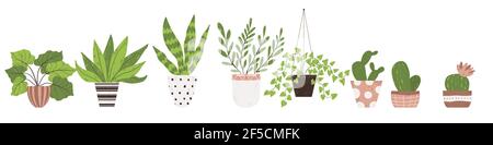 Colorful set of houseplants in pot. Vector illustrations of Indoor plants in flowerpot collection. Flowers and cactus in pot in flat cartoon style. Is Stock Vector