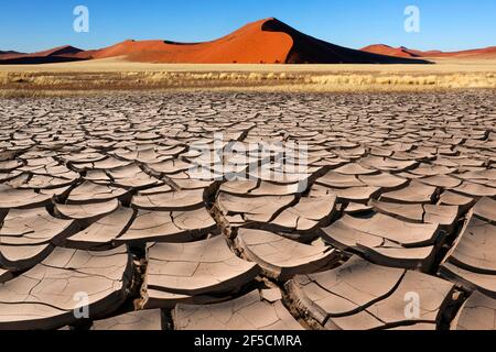 Dry earth and Sand Dune in early morning sunlight near Sossusvlei in the Namib Desert in Namibia. Stock Photo