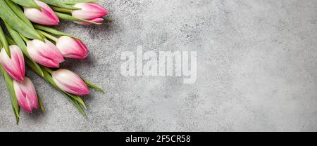 Fresh pink tulips on gray stone surface Stock Photo