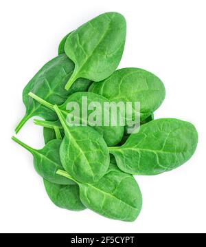 Spinach leaves isolated on white background. Green spinach top view. Stock Photo