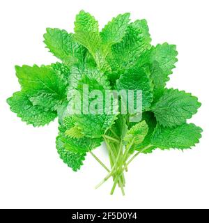 Fresh raw mint leaves isolated on white background. Close-up. Top view. Pile of melissa Stock Photo