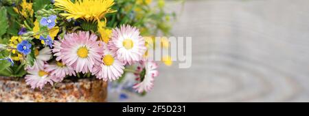 a bouquet of wildflowers of forget-me-nots, daisies and yellow dandelions in full bloom in a rusty rustic jar against a background of wooden planks in Stock Photo