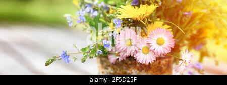 a bouquet of wildflowers of forget-me-nots, daisies and yellow dandelions in full bloom in a rusty rustic jar against a background of wooden planks in Stock Photo