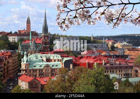 Spring in Gothenburg city in Sweden. Gothenburg cityscape with Olivedal district. Cherry blossoms spring time. Stock Photo
