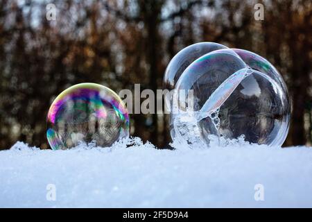 soap bubbles on snow, Germany Stock Photo