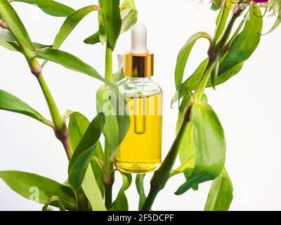 Natural cosmetic skincare serum packaging with leaf fern and fresh juicy  orange fruit on white background. Beauty vitamin ingredient. alternative  medi Stock Photo - Alamy