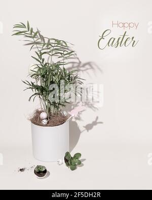 Easter composition with a potted home plant, decorative eggs, small sprouts planted in the egg shells and text on white background. The concept of pre Stock Photo