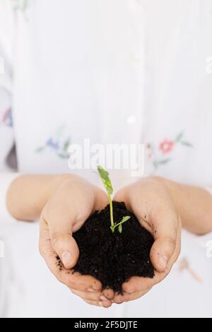 Hands holding ground with green fresh sprout. Earth day concept. Save planet. Gardening and growing plants. Female in floral shirt holding with dirty Stock Photo