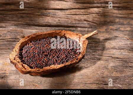 Brassica nigra - Black mustard seeds in wooden bowl Stock Photo