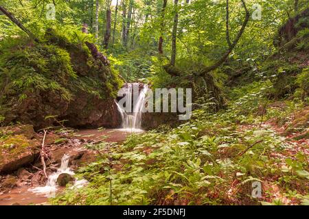 a small mountain river at the bottom of a deep gorge, a small waterfall Stock Photo